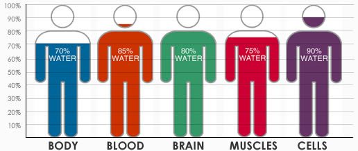 Water content in the body.
