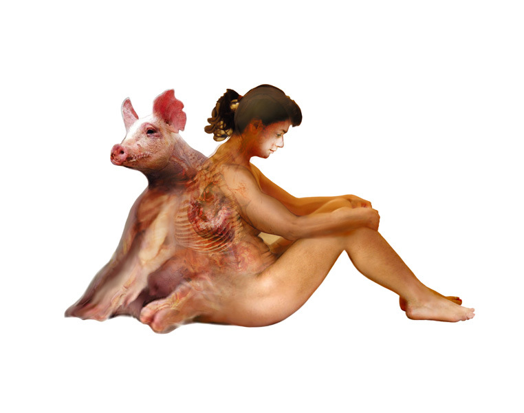 Xenotransplantation – Creating The Zombie Apocalypse « REALITY BLOG