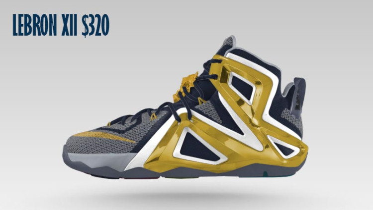lebron_xii