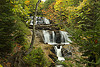 Sable Falls framed for Autumn