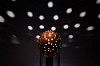 Coconut shell lamp